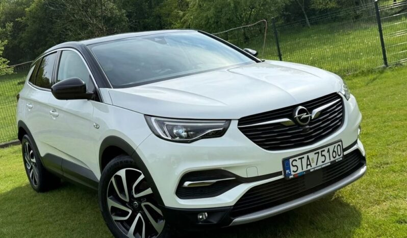 OPEL Grandland X | FWD (przód) | Manualna | 130 KM | Biały full