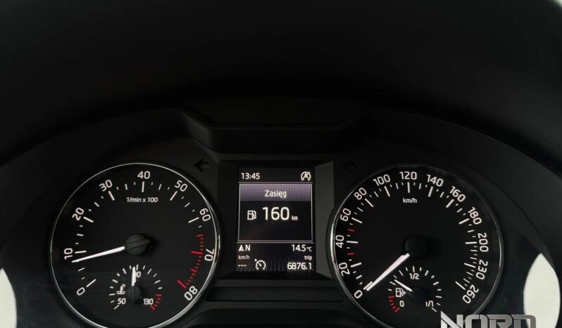 SKODA Octavia  | 4×4 (stały) | Automatyczna | 180 KM | Biały full