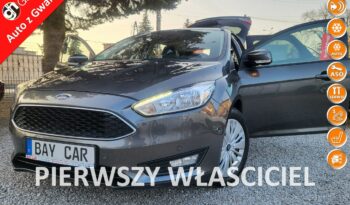 Ford Focus  | Przedni | Manualna | 125 Km | Szary