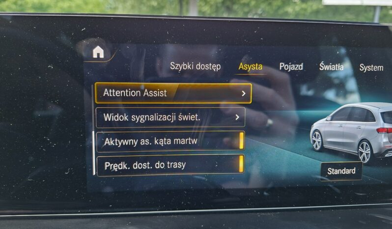 Mercedes B 250 | 4×4 Automatyczny | Automatyczna | 225 KM | Szary full