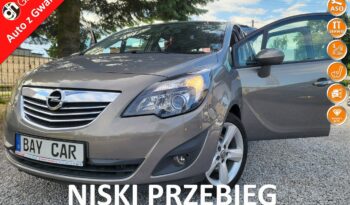Opel Meriva  | Fwd (Przód) | Manualna | 140 Km | Brązowy