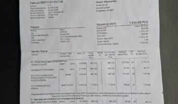 DACIA spring | FWD (przód) | Automatyczna | 45 KM | Srebrny full
