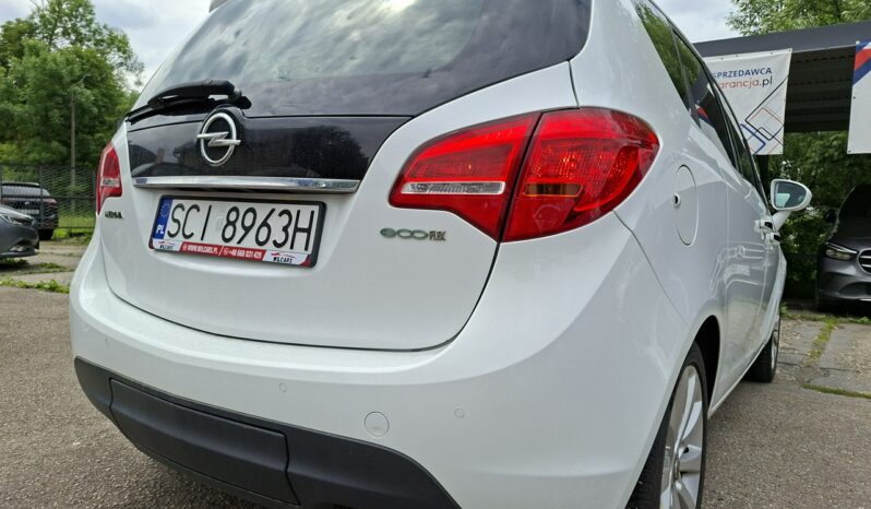 OPEL Meriva  | FWD (przód) | Manualna | 120 KM | bialy full