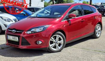 Ford Focus  | Fwd (Przód) | Manualna | 100 Km | Czerwony