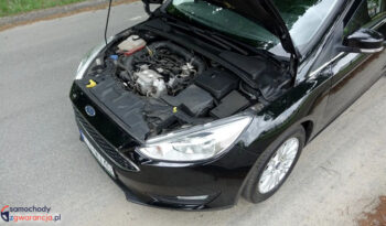 FORD Focus  | FWD (przód) | Manualna | 125 KM | Czarny full