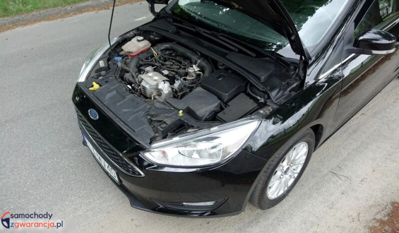 FORD Focus  | FWD (przód) | Manualna | 125 KM | Czarny full