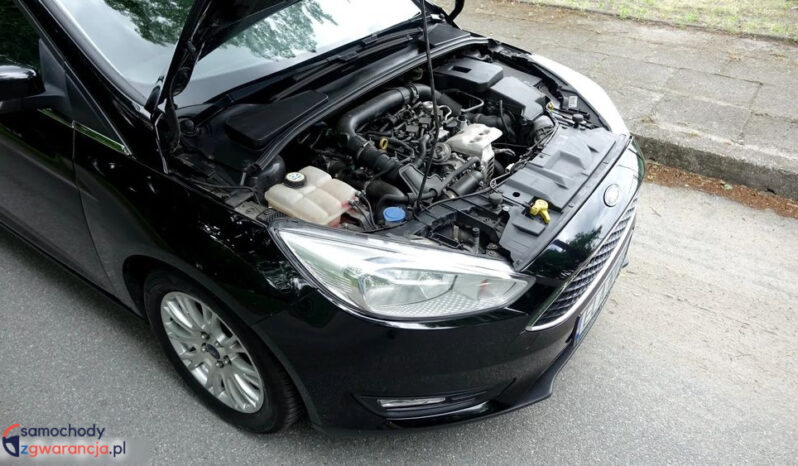 FORD Focus  | FWD (przód) | Manualna | 125 KM | Czarny full