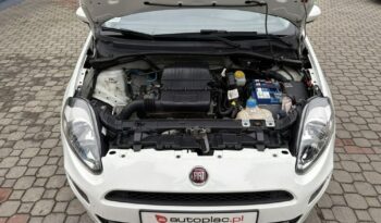 Fiat Punto | FWD (przód) | Manualna | 69 KM | Biały full