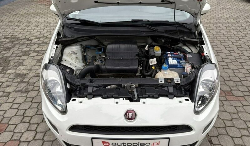 Fiat Punto | FWD (przód) | Manualna | 69 KM | Biały full