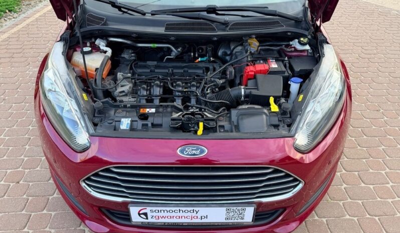 FORD Fiesta  | FWD (przód) | Manualna | 82 KM | Bordowy full