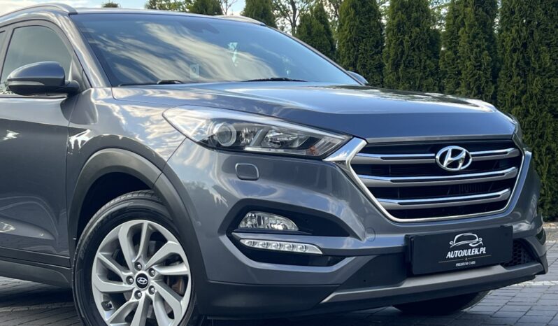Hyundai   Tucson    141 KM    Automatyczna    FWD (przód)    Szary full