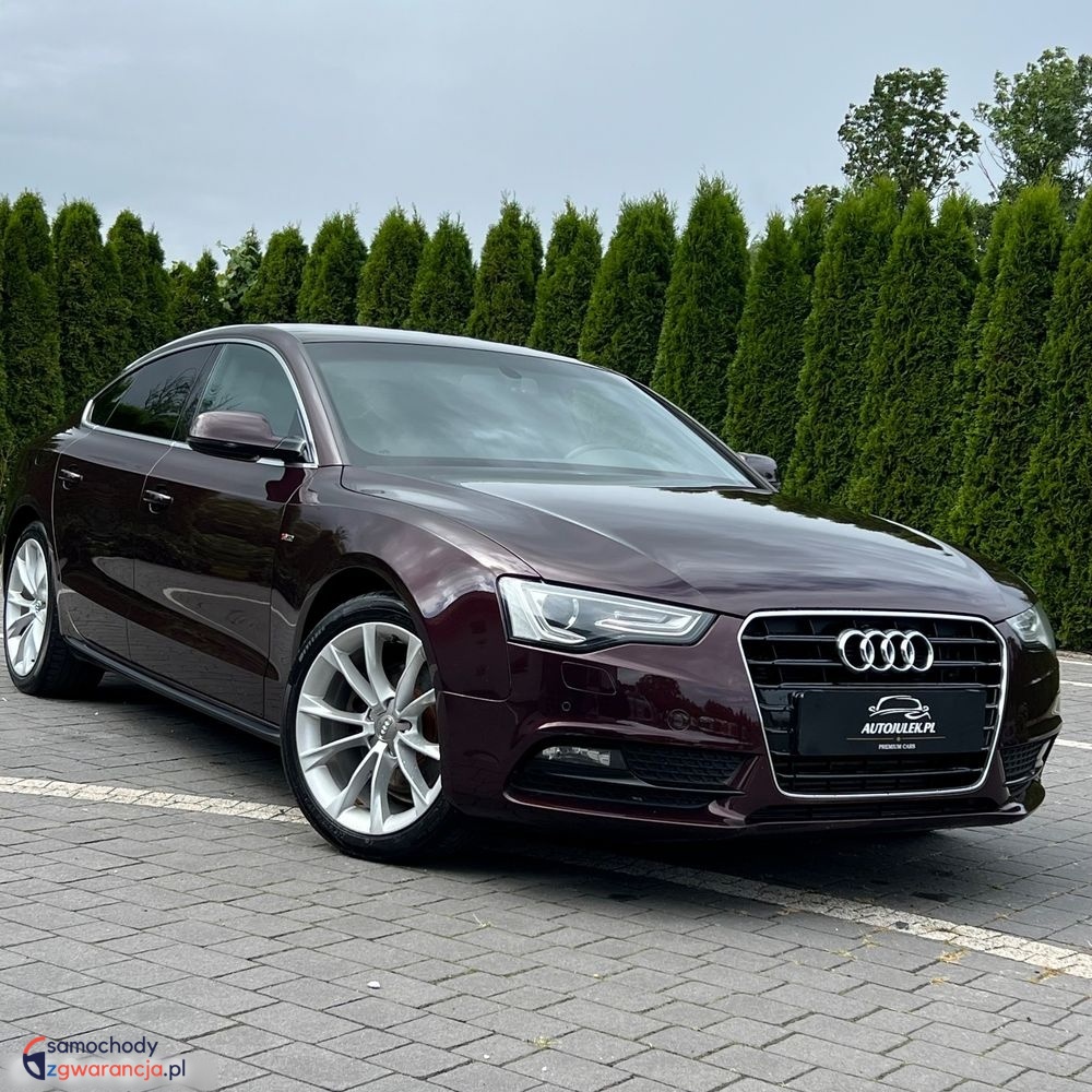 Audi   A5 Sportback    170 Km    Manualna    Fwd (Przód)    Inny Kolor