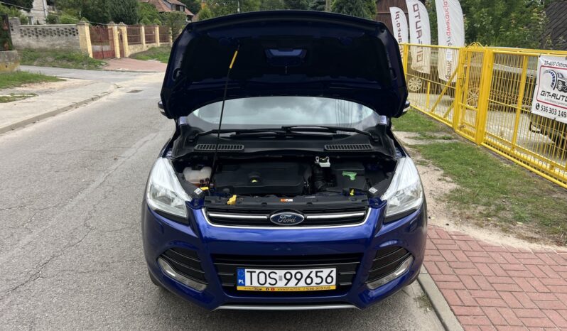 Ford Kuga | 4×4 (doł. automatycznie) | Manualna | 150 KM | Niebieski full