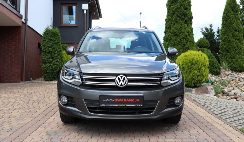 Volkswagen Tiguan | 2012 | 140 KM | 1968cm3 | Szary full