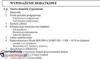 Skoda Fabia | FWD (przód) | Automatyczna | 110 KM | Szary full
