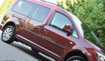 Volkswagen Caddy | FWD (przód) | Automatyczna | 102 KM | Bordowy full