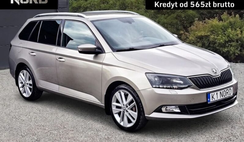 Skoda Fabia | Fwd (Przód) | Automatyczna | 110 Km | Beżowy