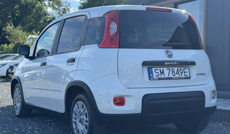 Fiat Panda | FWD (przód) | Manualna | 69 KM | Biały full