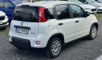 Fiat Panda | FWD (przód) | Manualna | 69 KM | Biały full