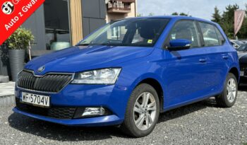 Skoda Fabia | Fwd (Przód) | Manualna | 95 Km | Niebieski