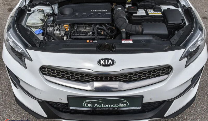 Kia XCeed | FWD (przód) | Automatyczna | 140 KM | Biały full