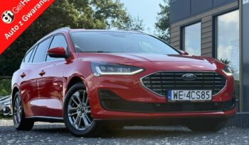 Ford Focus | Fwd (Przód) | Manualna | 125 Km | Czerwony