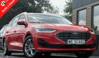 Ford Focus | Fwd (Przód) | Manualna | 125 Km | Czerwony