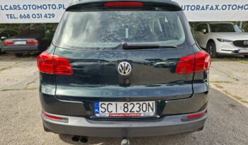 Volkswagen Tiguan | 4×4 (doł. automatycznie) | Manualna | 160 KM | Zielony full