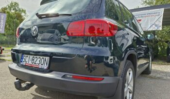 Volkswagen Tiguan | 4×4 (doł. automatycznie) | Manualna | 160 KM | Zielony full