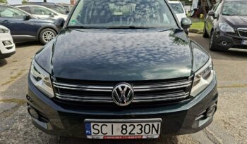 Volkswagen Tiguan | 4×4 (doł. automatycznie) | Manualna | 160 KM | Zielony full