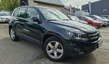 Volkswagen Tiguan | 4×4 (doł. automatycznie) | Manualna | 160 KM | Zielony full