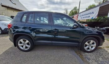 Volkswagen Tiguan | 4×4 (doł. automatycznie) | Manualna | 160 KM | Zielony full