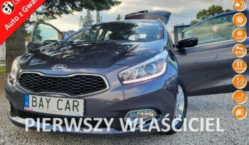 Kia Ceed | Fwd (Przód) | Manualna | 135 Km | Szary