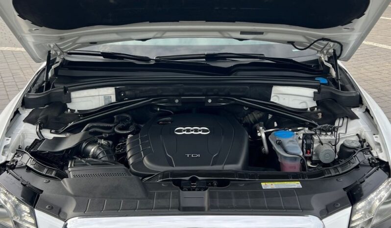 Audi   Q5    170 KM    Manualna    4×4 (stały)    Biały full