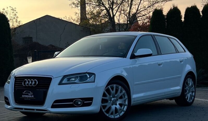 Audi   A3 Sportback    105 KM    Manualna    FWD (przód)    Biały full