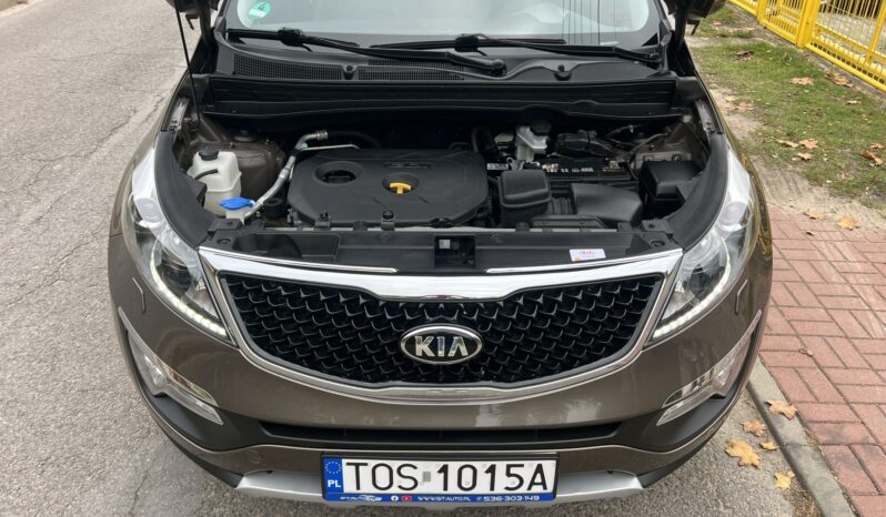 Kia Sportage | FWD (przód) | Manualna | 166 KM | Brązowy full