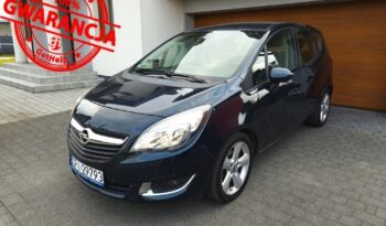 Opel Meriva | Fwd (Przód) | Manualna | 120 Km | Zielony