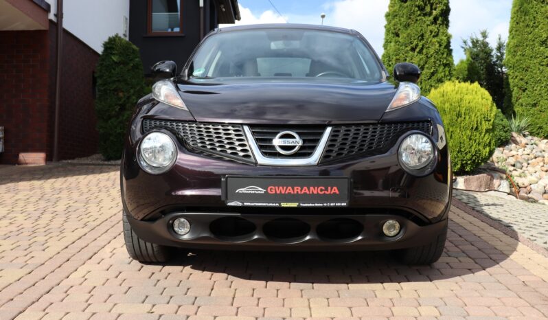 Nissan Juke | 2013 | 117 KM | 1598cm3 | Srebrny full