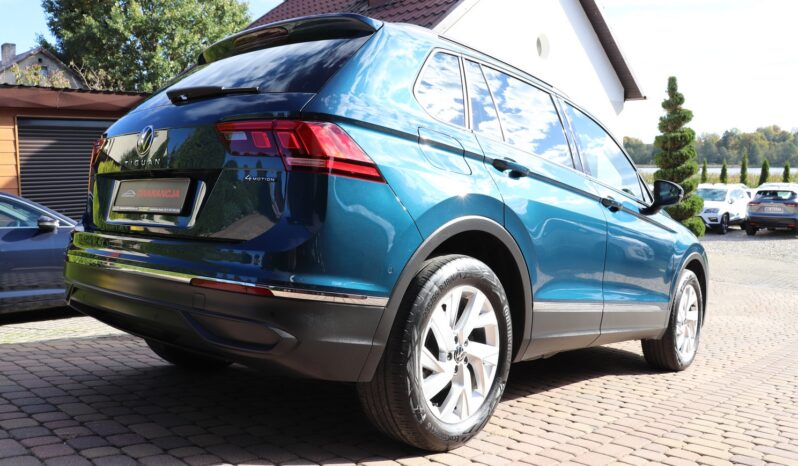Volkswagen Tiguan | 2022 | 150 KM | 1968cm3 | Niebieski full