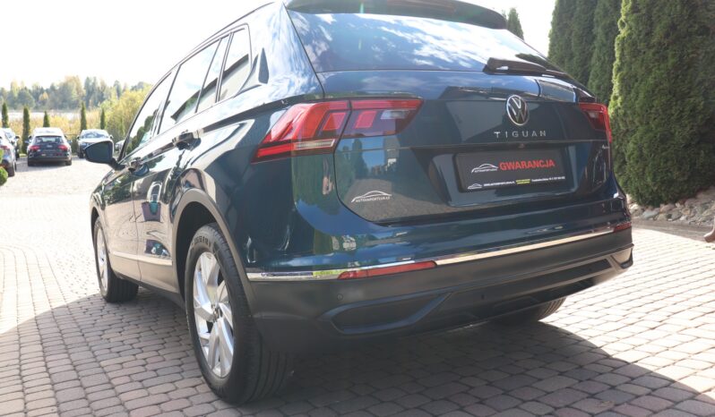 Volkswagen Tiguan | 2022 | 150 KM | 1968cm3 | Niebieski full