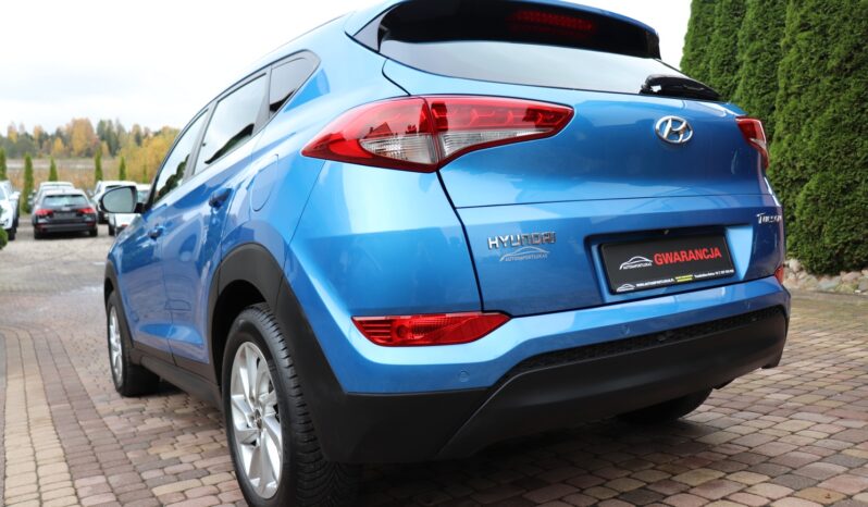 Hyundai Tucson | 2017 | 116 KM | 1685cm3 | Niebieski full