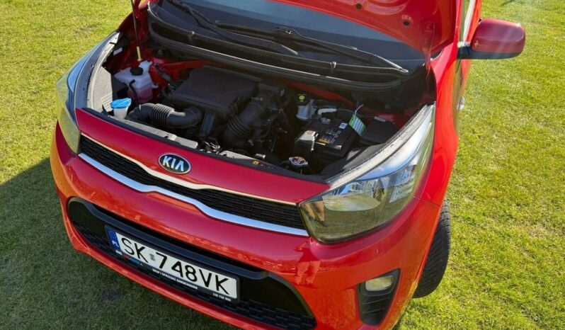 Kia Picanto | FWD (przód) | Manualna | 67 KM | Czerwony full