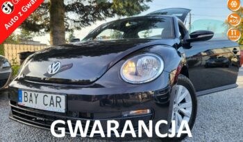 Volkswagen New Beetle | Fwd (Przód) | Manualna | 105 Km | Czarny