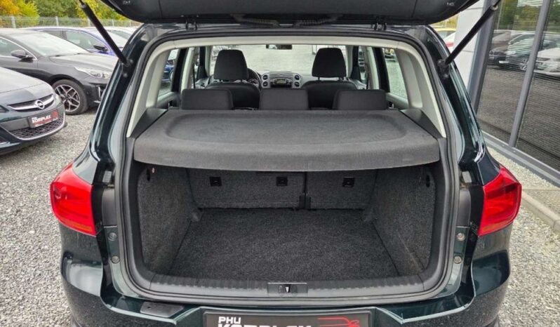 Volkswagen Tiguan | FWD (przód) | Manualna | 122 KM | Zielony full
