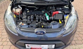 Ford Fiesta | FWD (przód) | Manualna | 82 KM | Inny kolor full