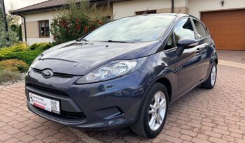 Ford Fiesta | FWD (przód) | Manualna | 82 KM | Inny kolor full